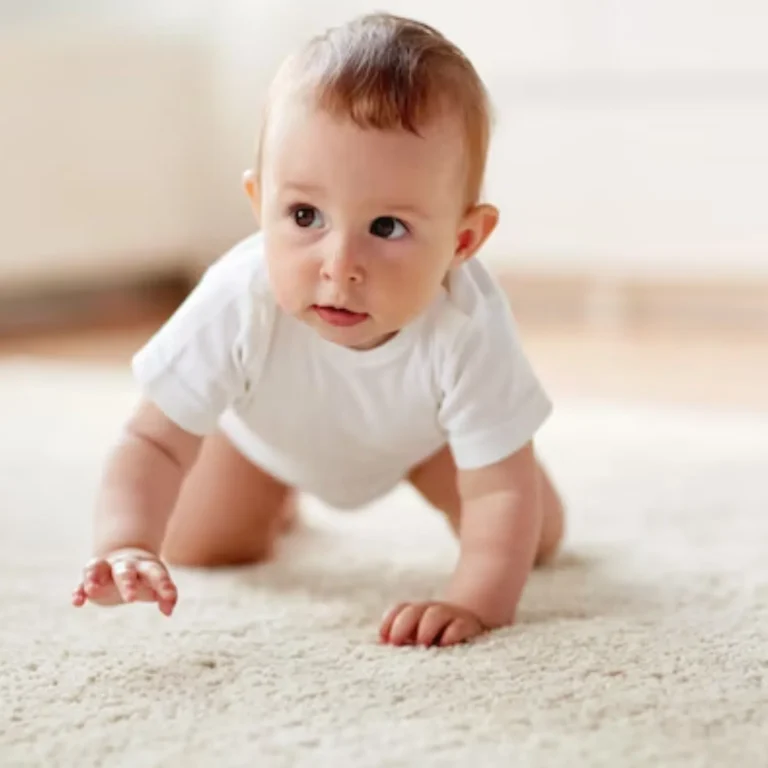 Hypoallergenic Carpet Cleaning