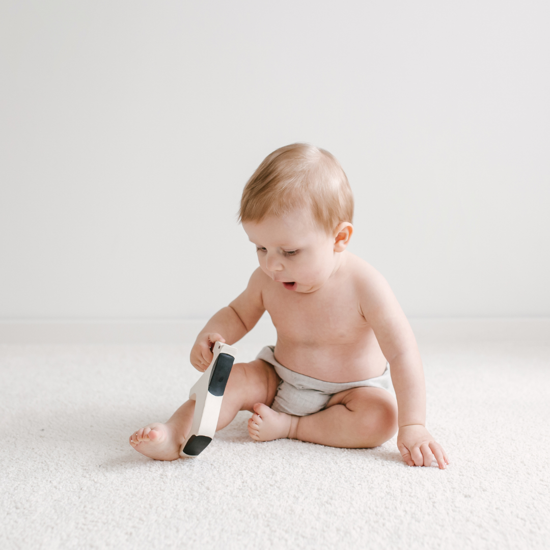 Hypoallergenic Carpet Cleaning, Baby Crawling on Carpet