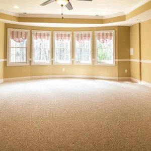 Modern home with clean carpet