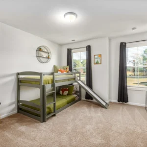 Modern home with clean carpet