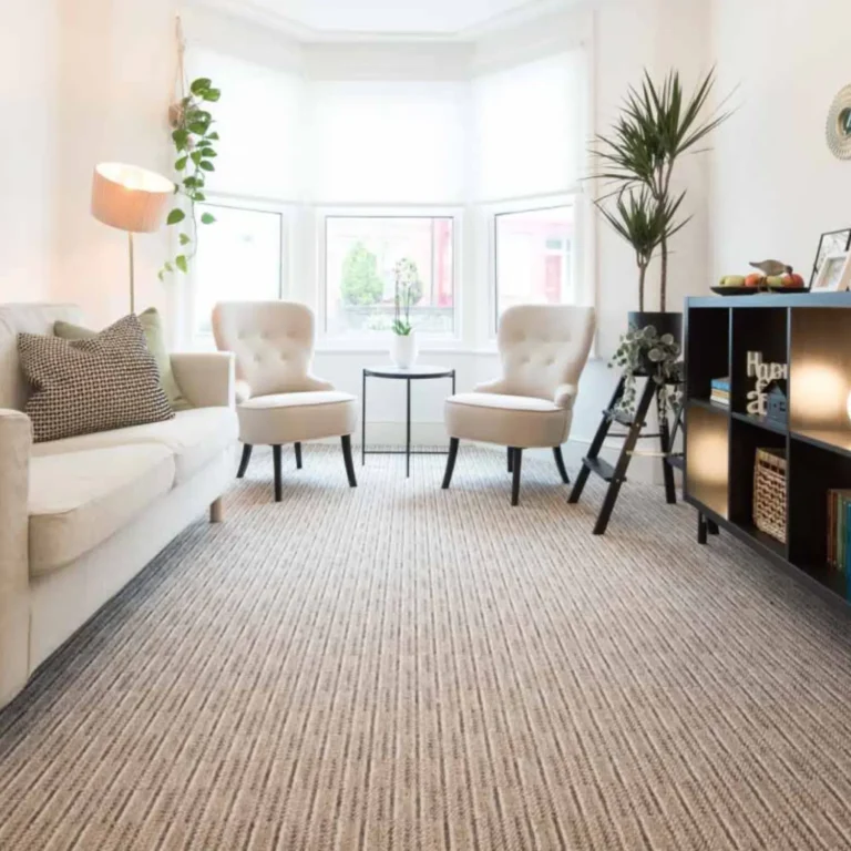 Modern home with clean carpet