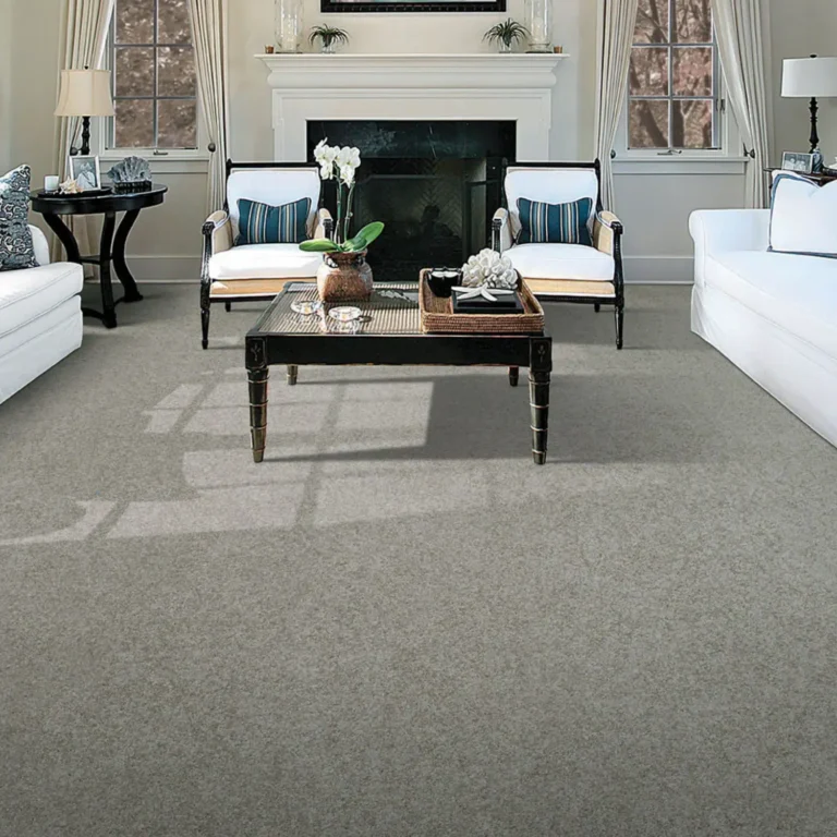 Modern home with clean carpet
