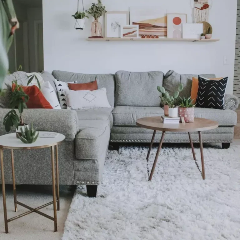 Modern home with clean carpet