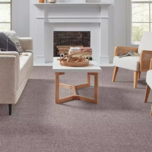 Modern home with clean carpet