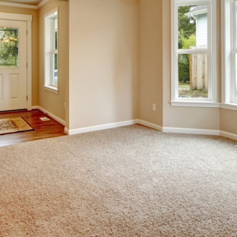 Modern home with clean carpet