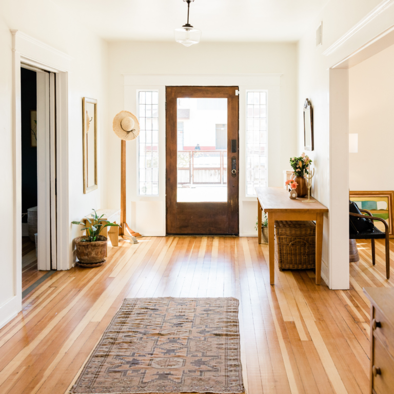 Best rug cleaning service