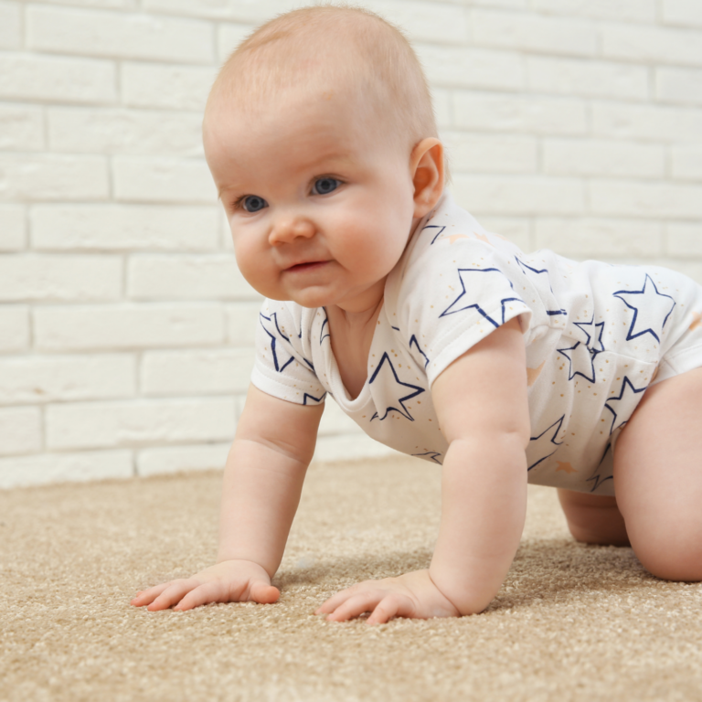 Hypoallergenic Carpet Cleaning