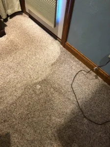 Low-Moisture-Carpet-Cleaning