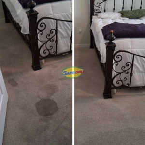 Before and After Carpet Cleaning