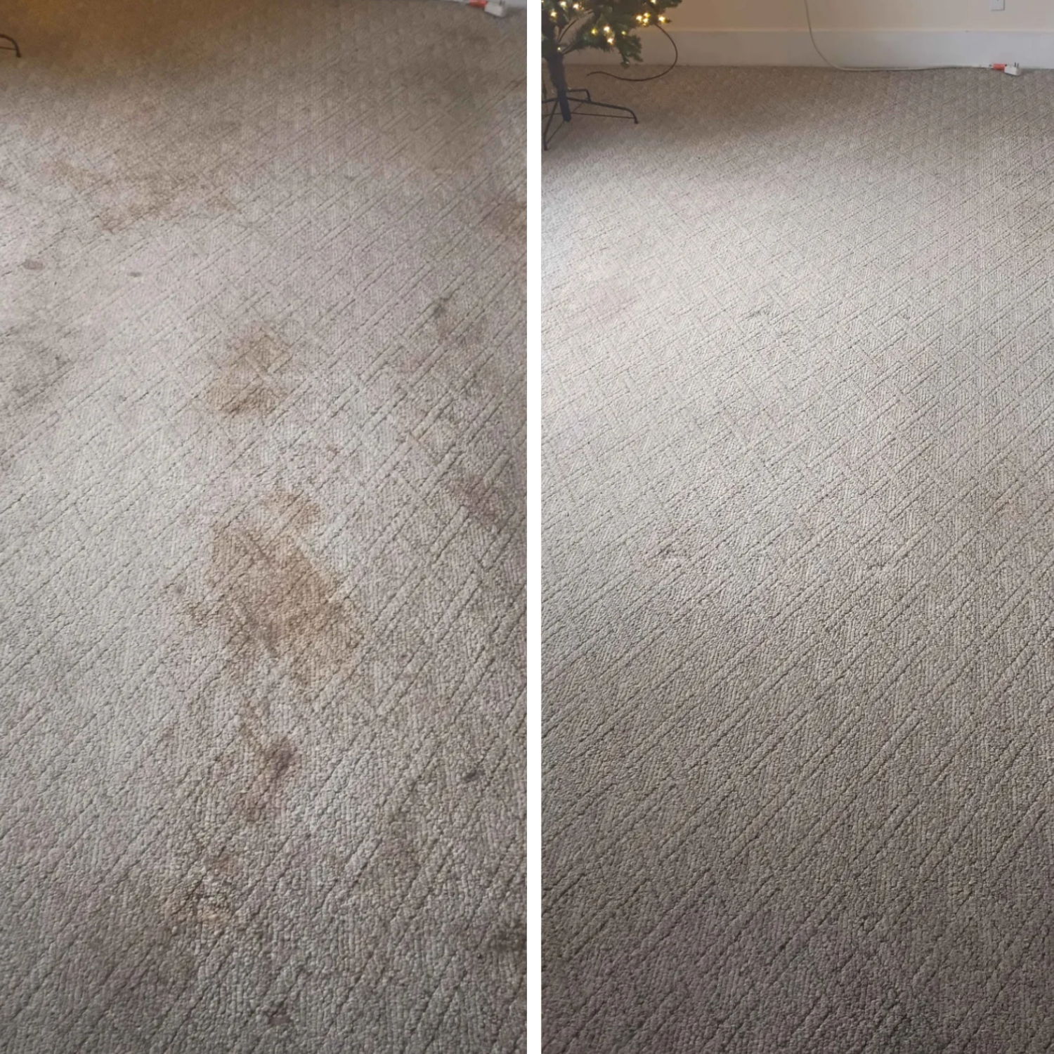 Before and after residential carpet cleaning