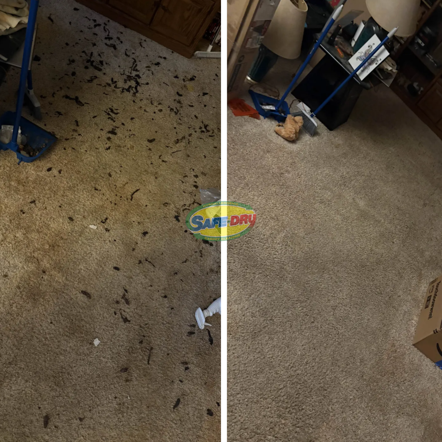 Before and after residential carpet cleaning