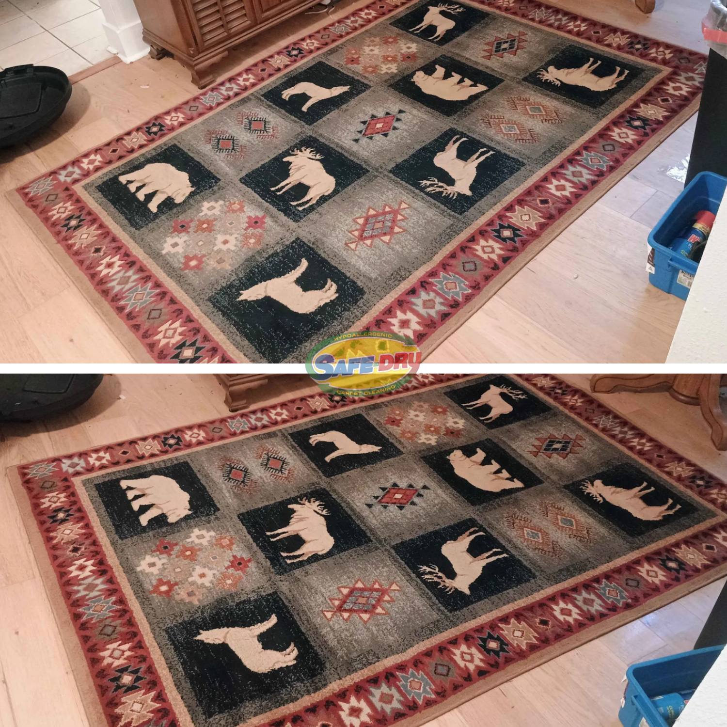 Best rug cleaning service