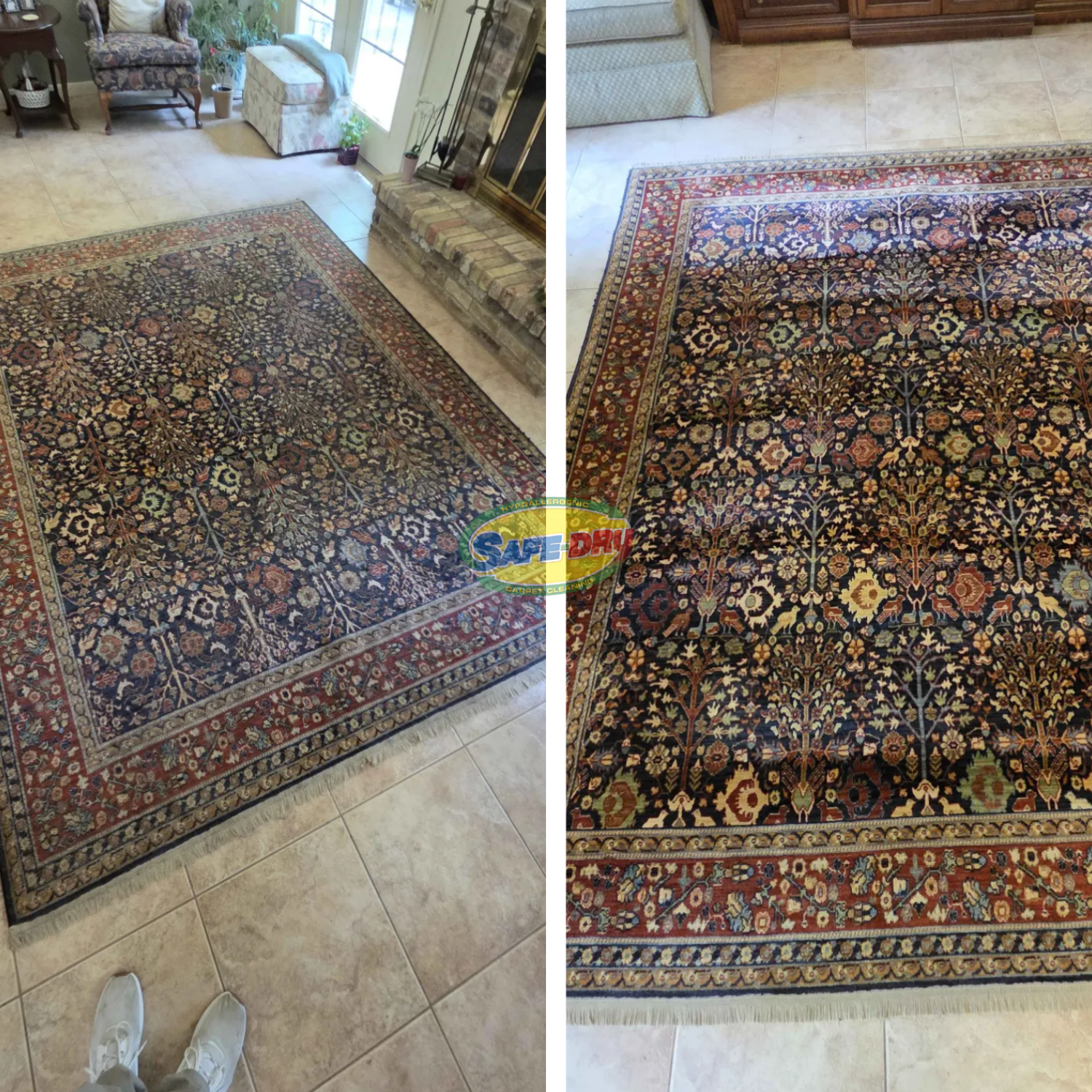 Best rug cleaning service