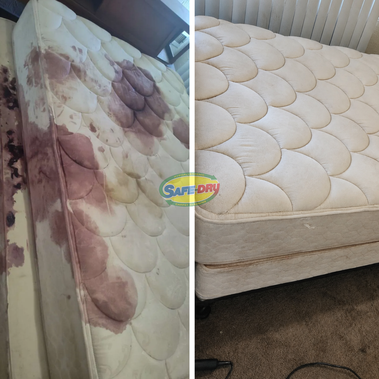 Upholstery Cleaning before and after
