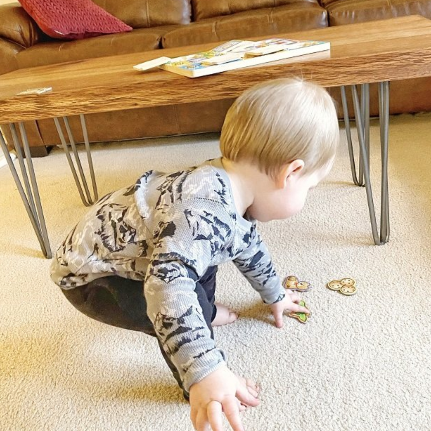 Hypoallergenic Carpet Cleaning