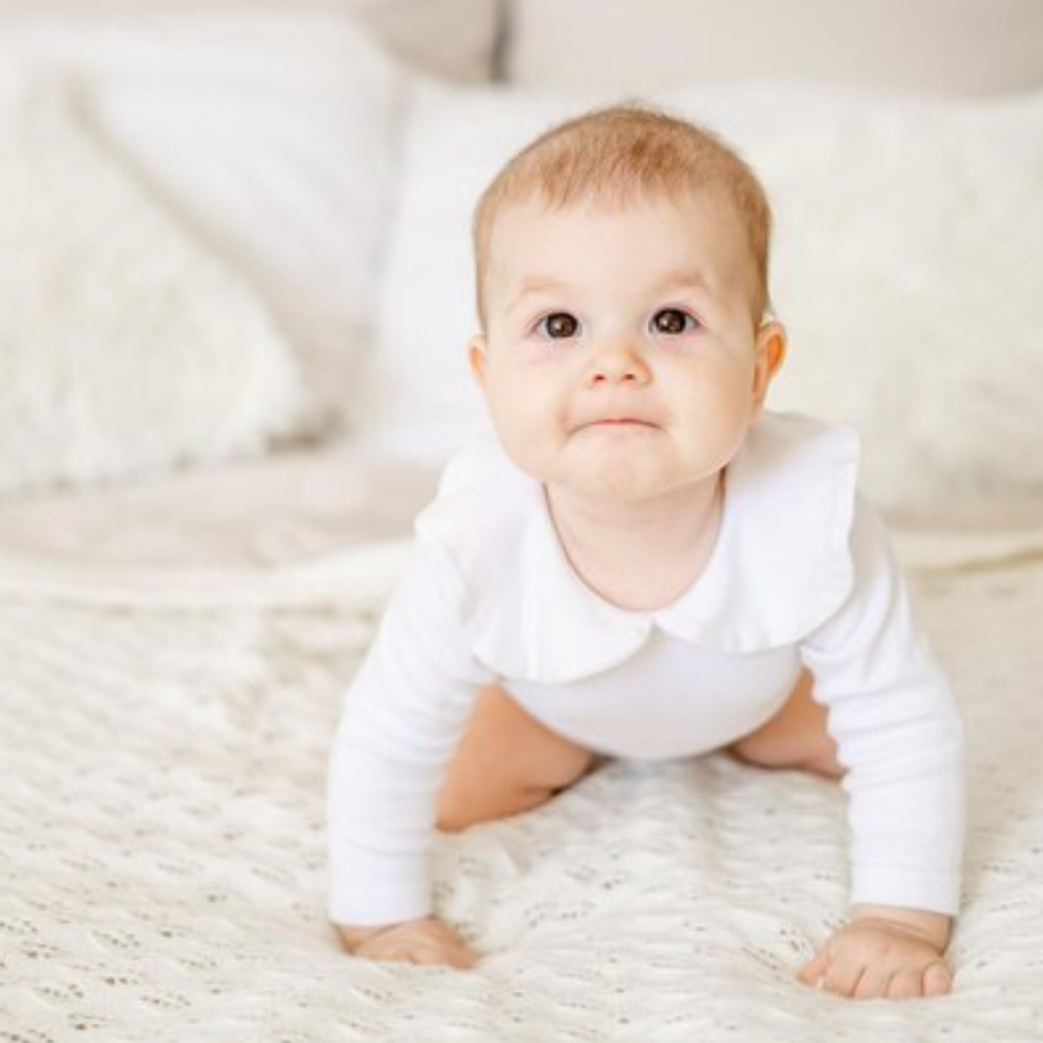 Hypoallergenic Carpet Cleaning