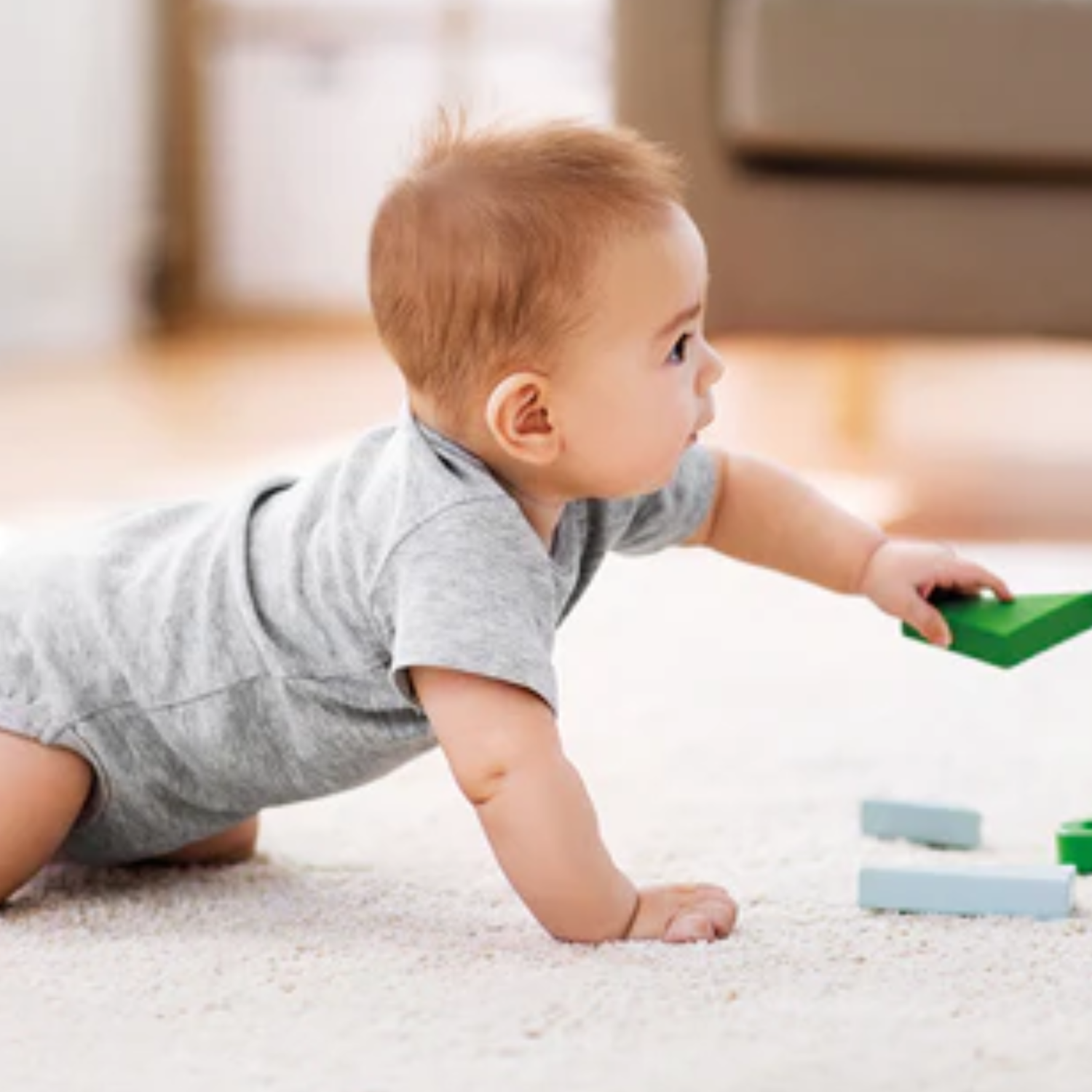 Hypoallergenic Carpet Cleaning