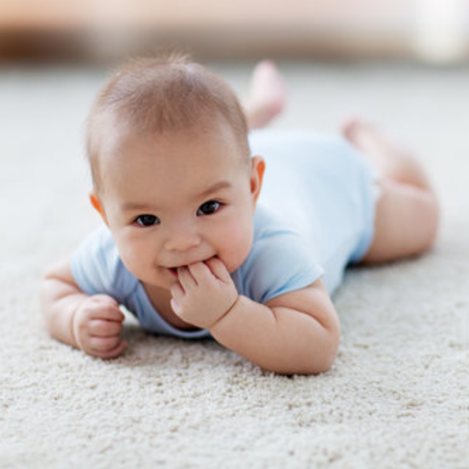 Hypoallergenic Carpet Cleaning