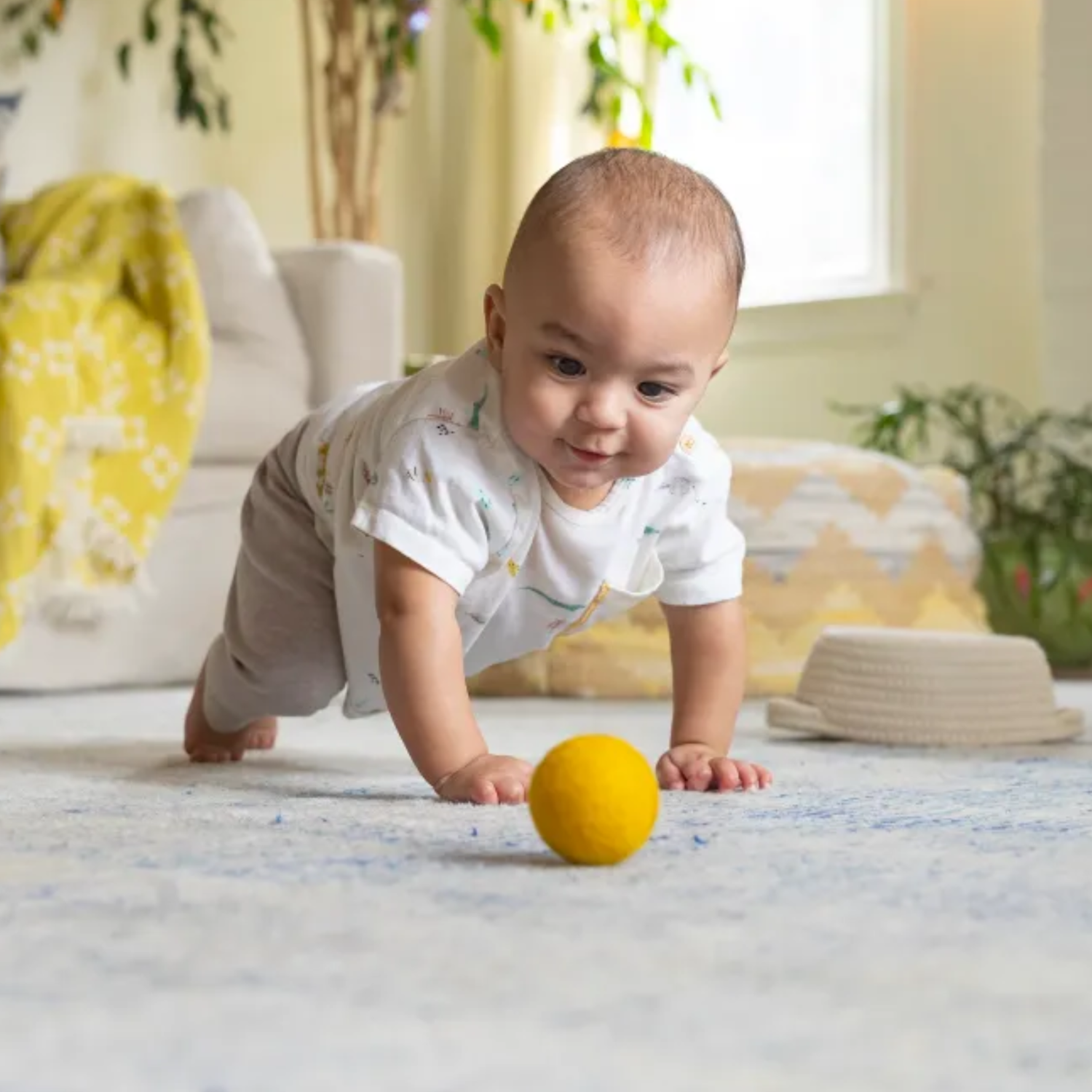 Hypoallergenic Carpet Cleaning
