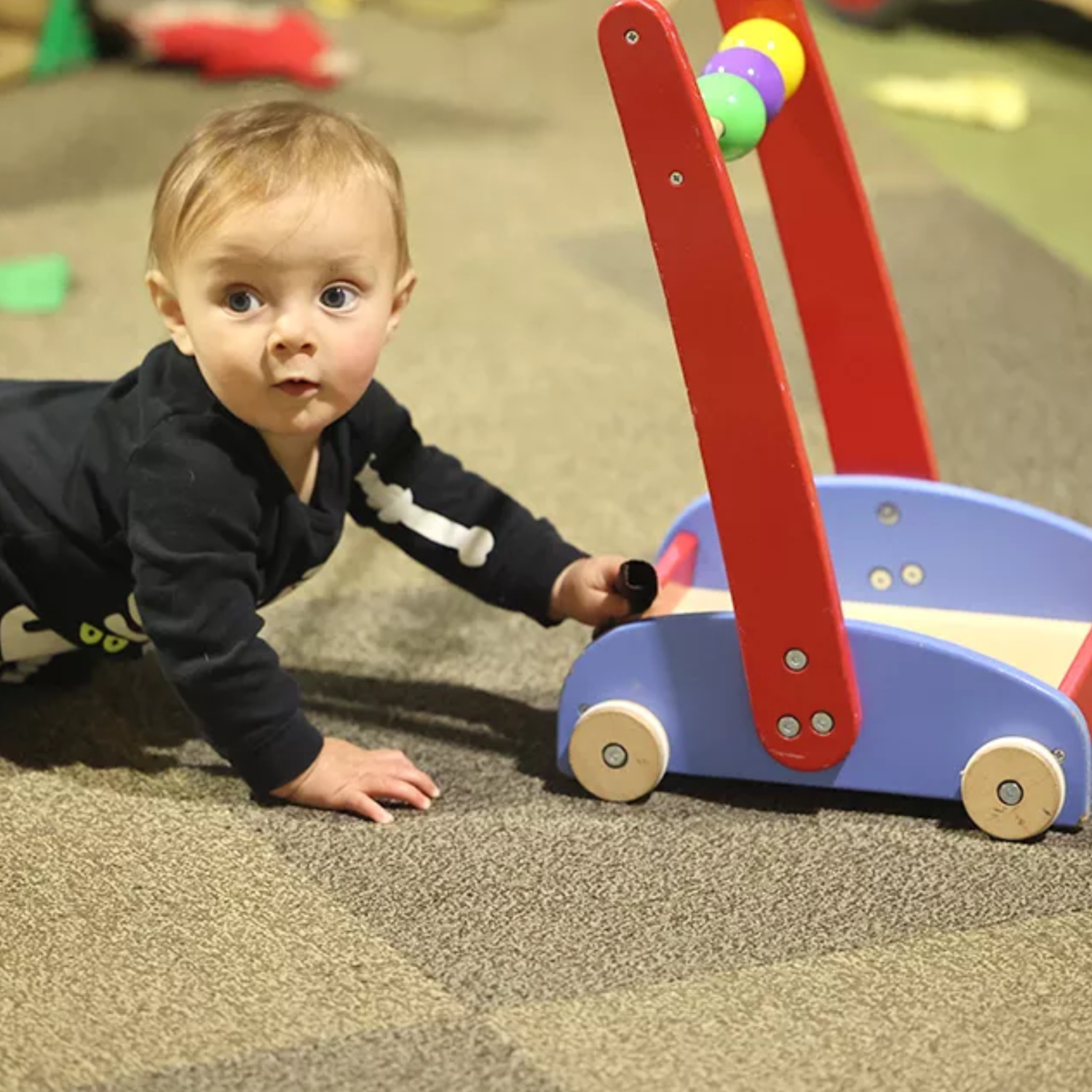 Hypoallergenic Carpet Cleaning