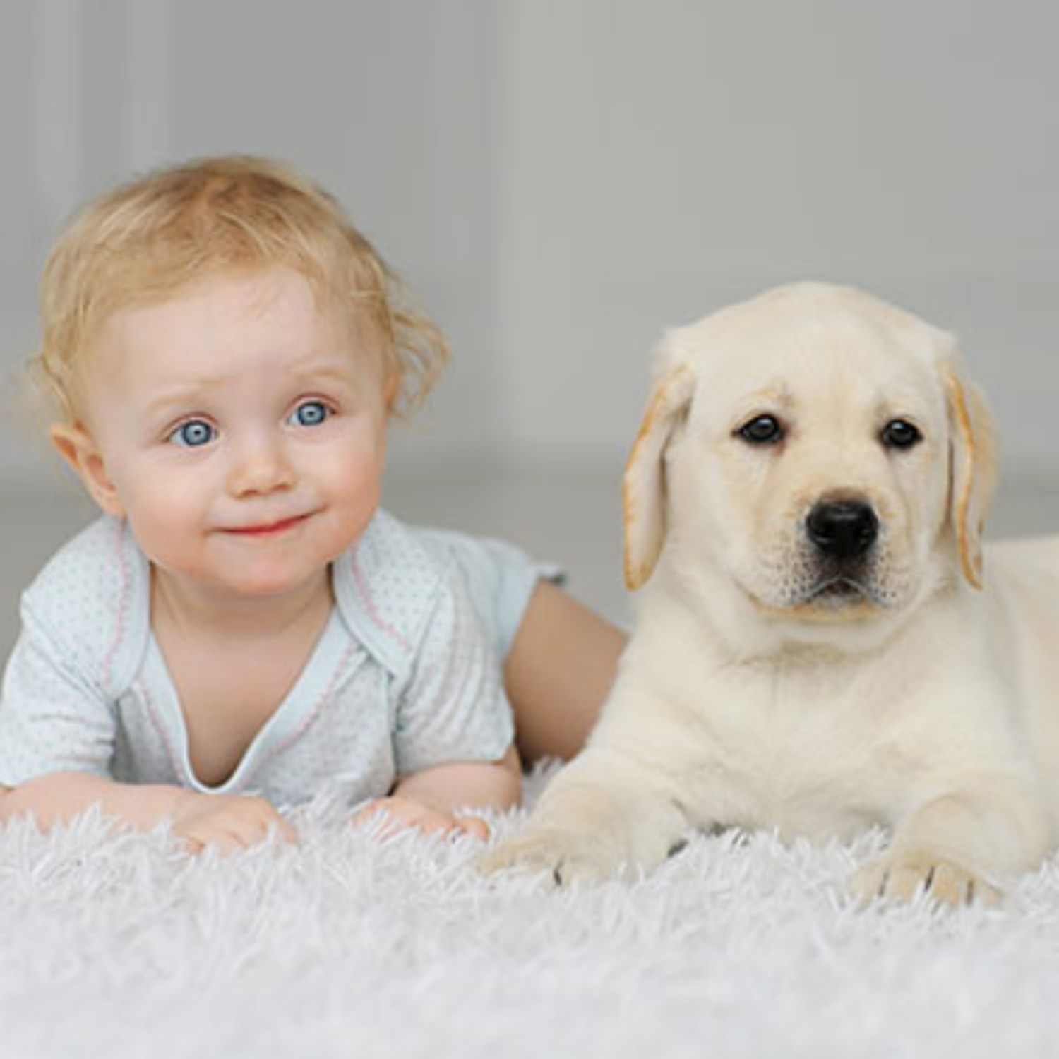 Hypoallergenic Carpet Cleaning