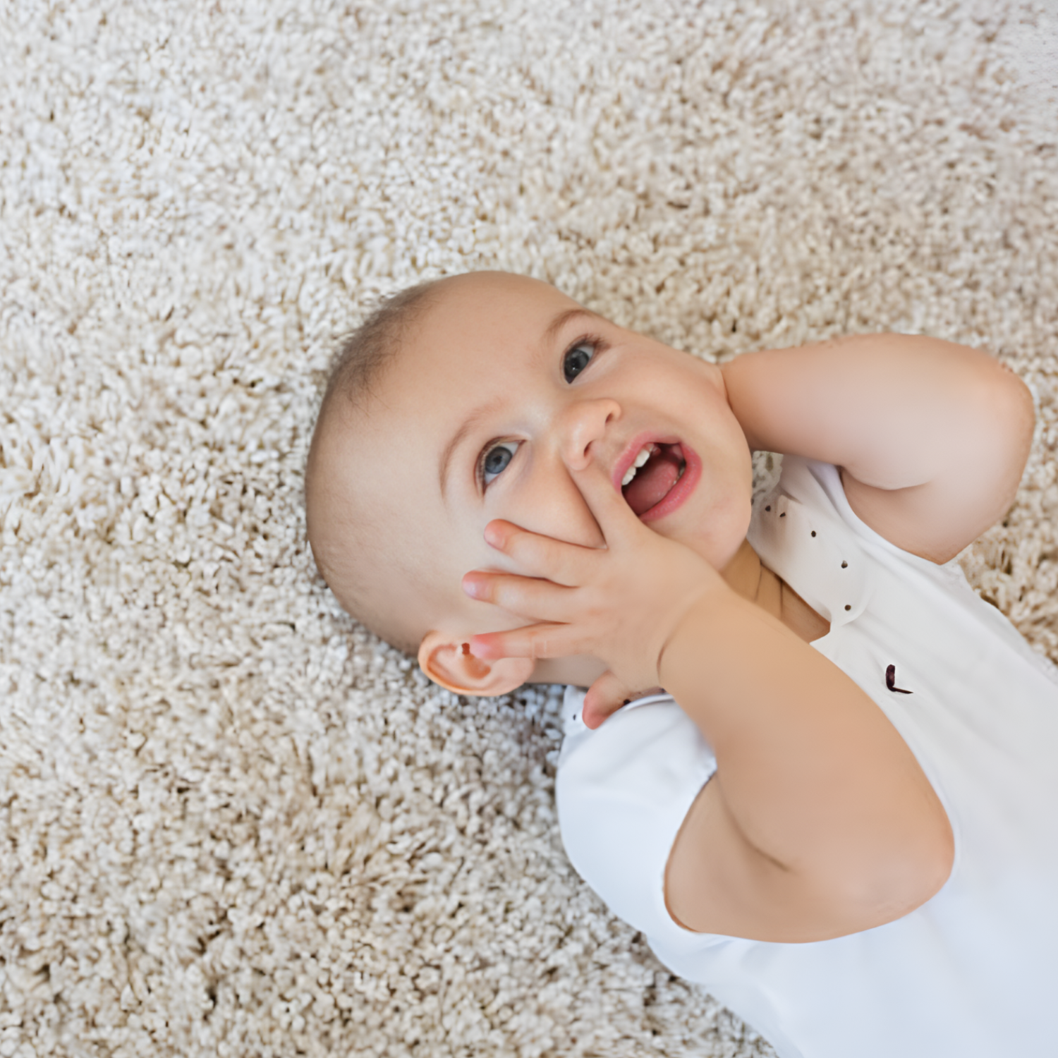 Hypoallergenic Carpet Cleaning