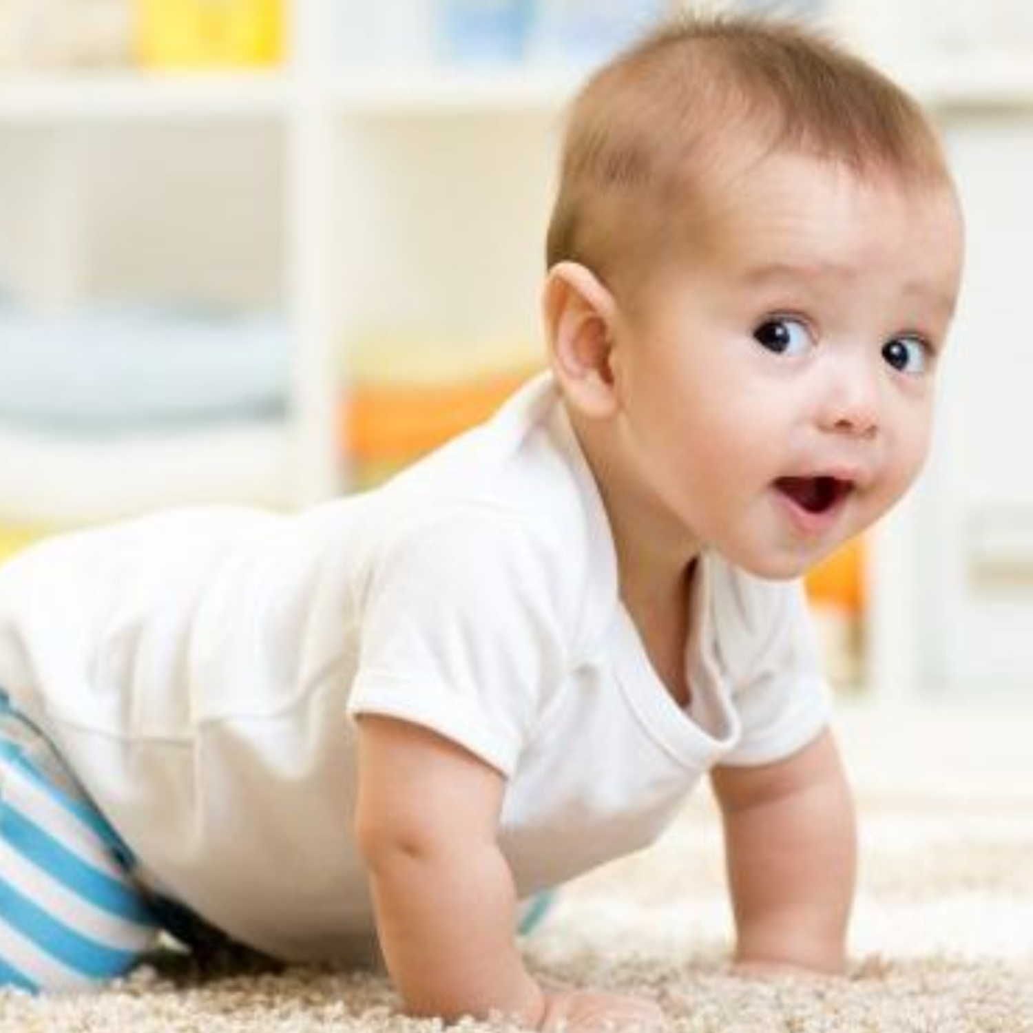 Hypoallergenic Carpet Cleaning