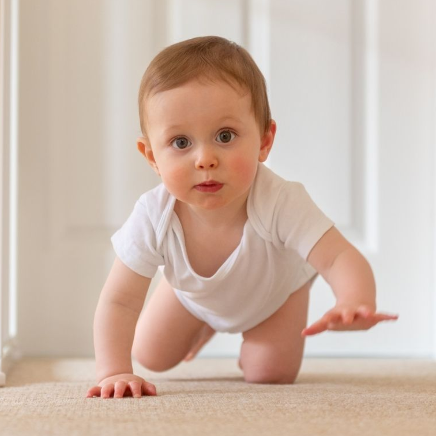 Hypoallergenic Carpet Cleaning