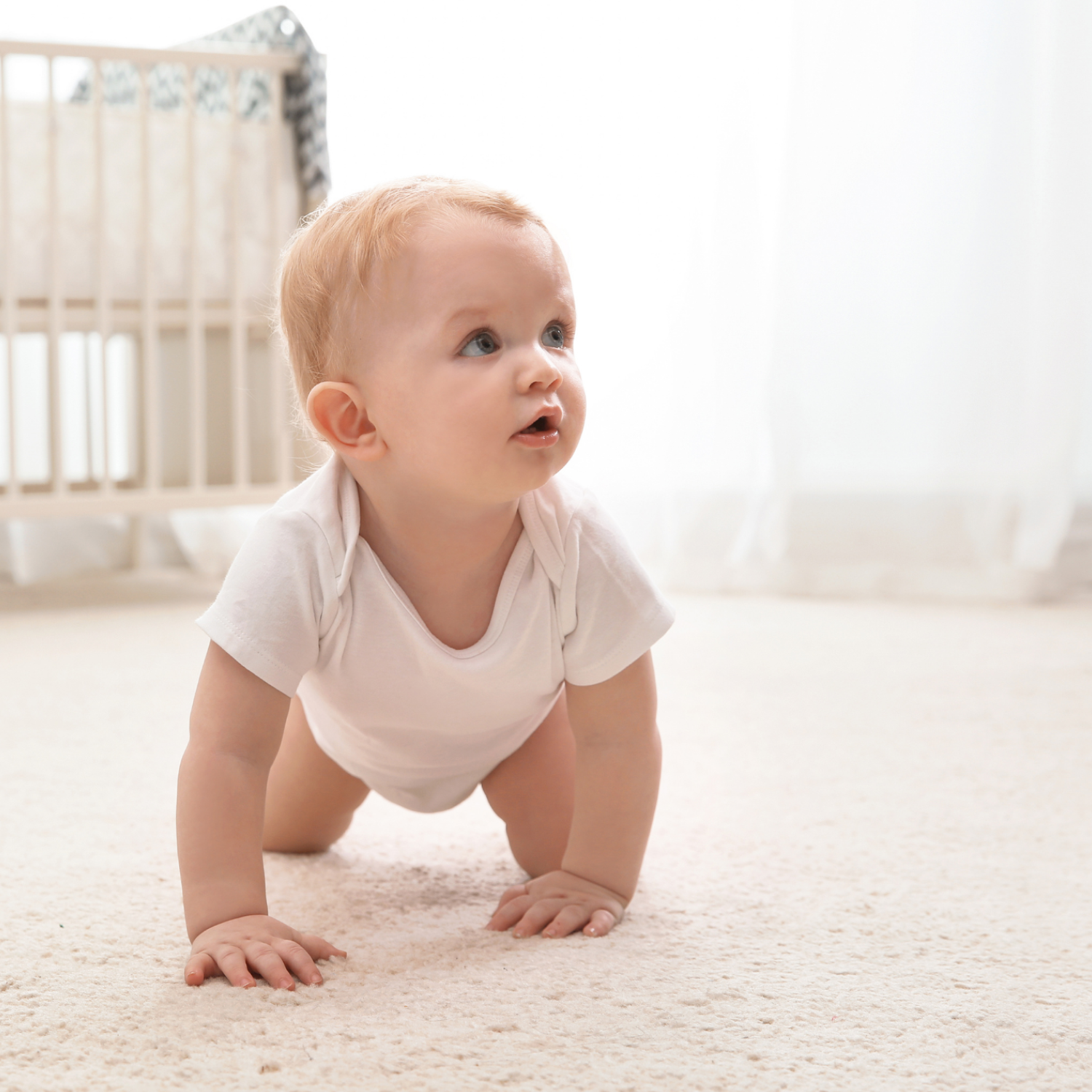 Hypoallergenic Carpet Cleaning