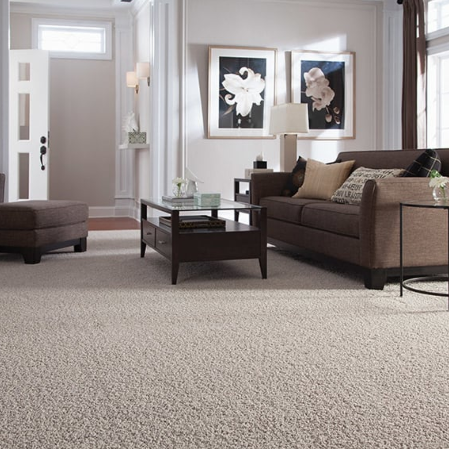 Modern home with clean carpet