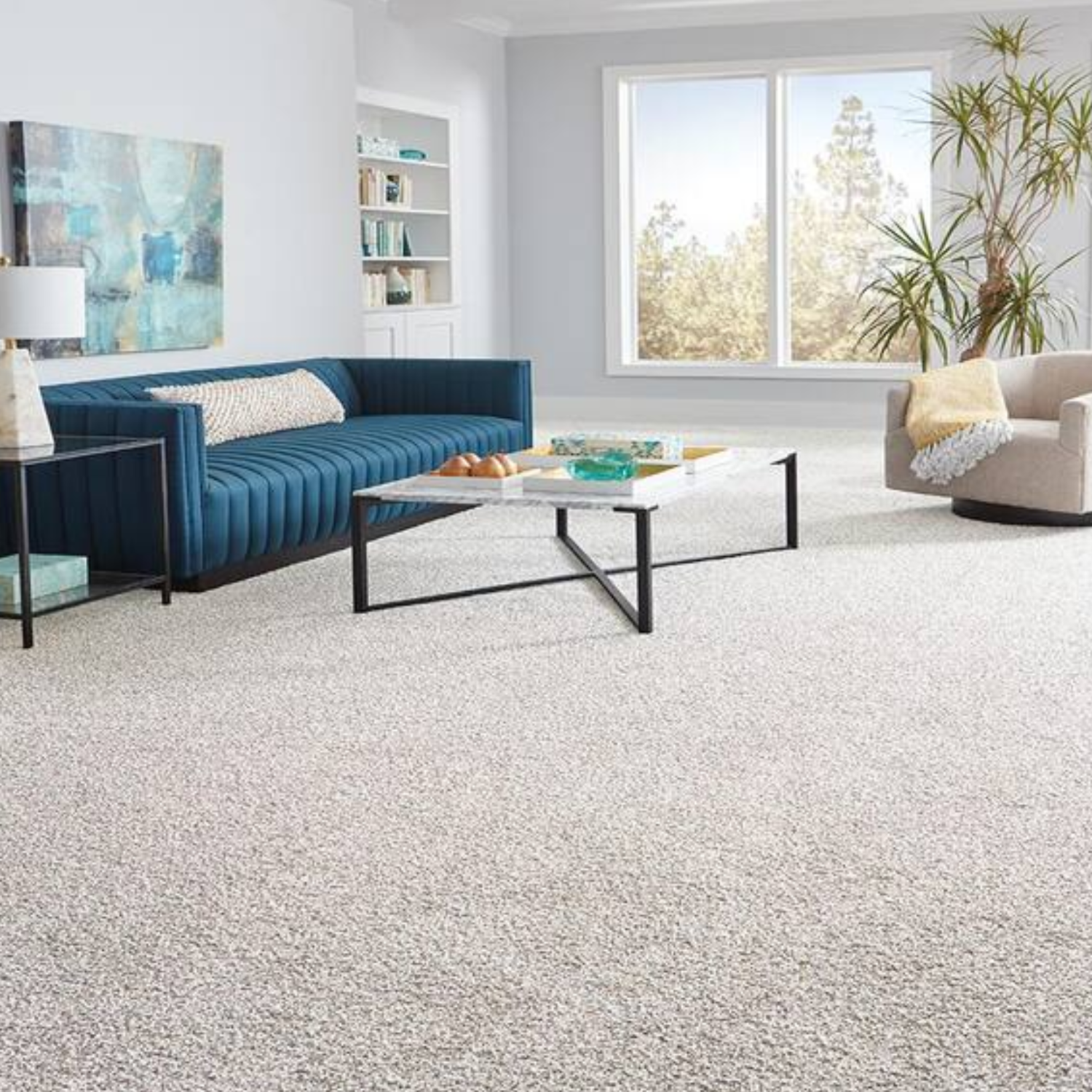 Modern home with clean carpet