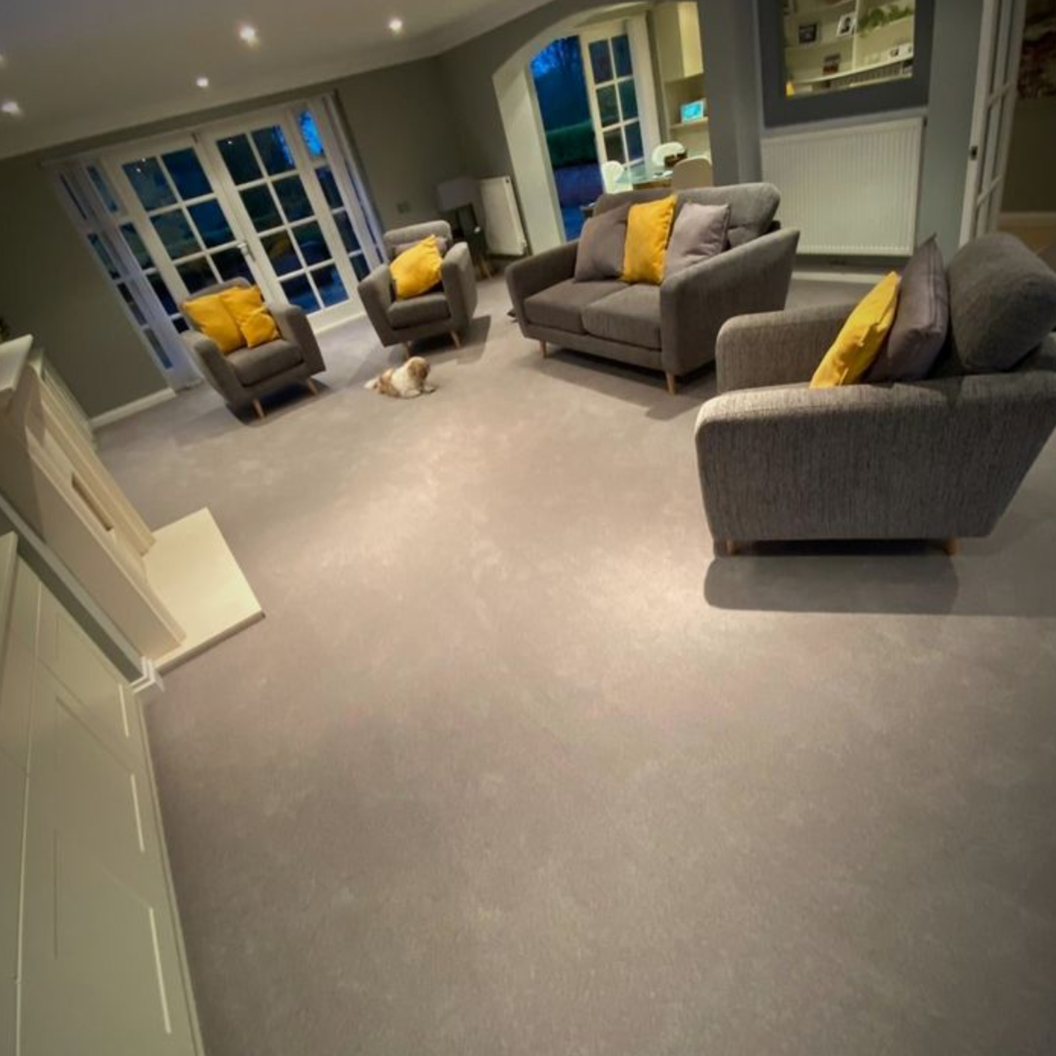 Modern home with clean carpet