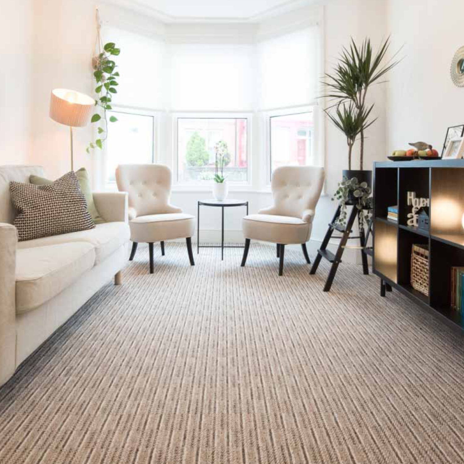 Modern home with clean carpet