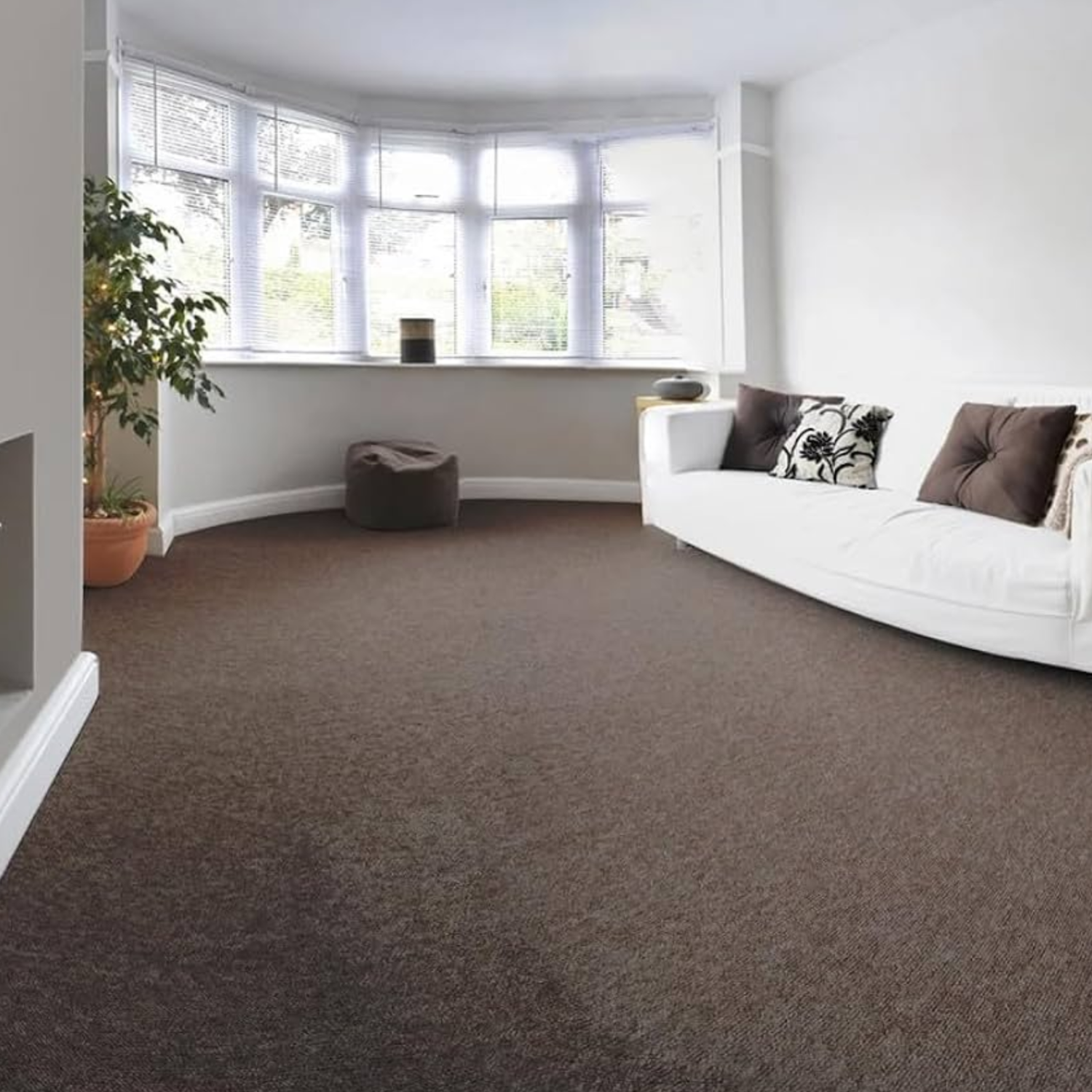Modern home with clean carpet