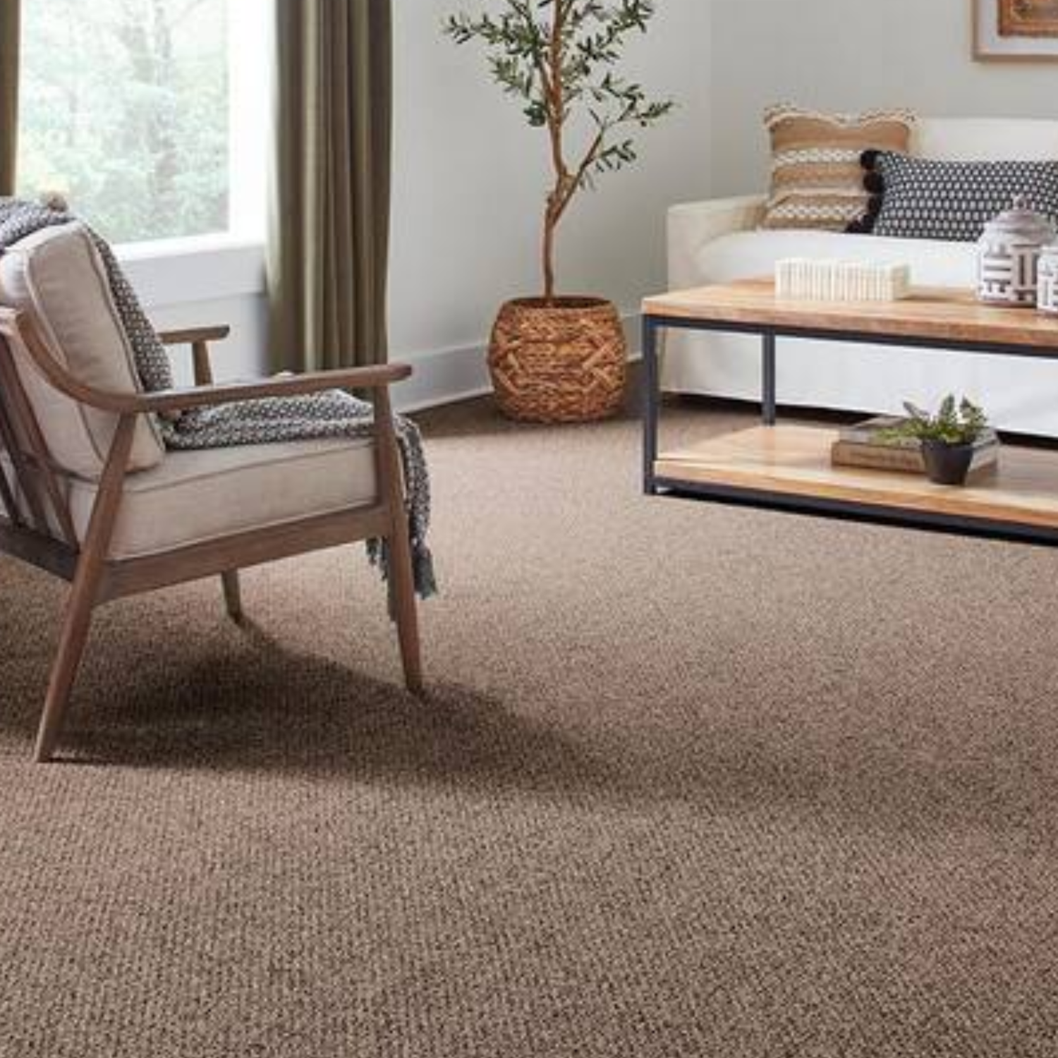 Modern home with clean carpet
