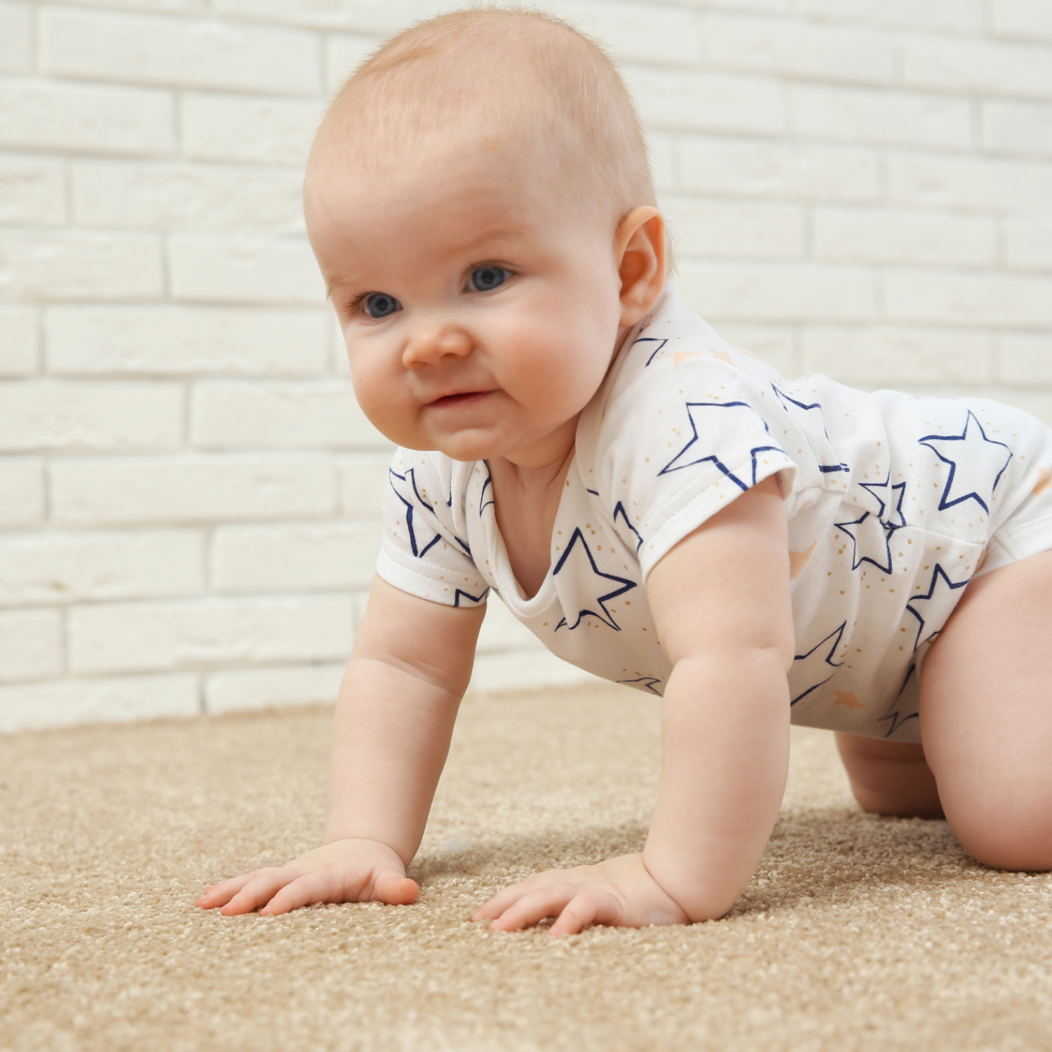 Hypoallergenic Carpet Cleaning