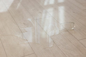 spill on hardwood floor